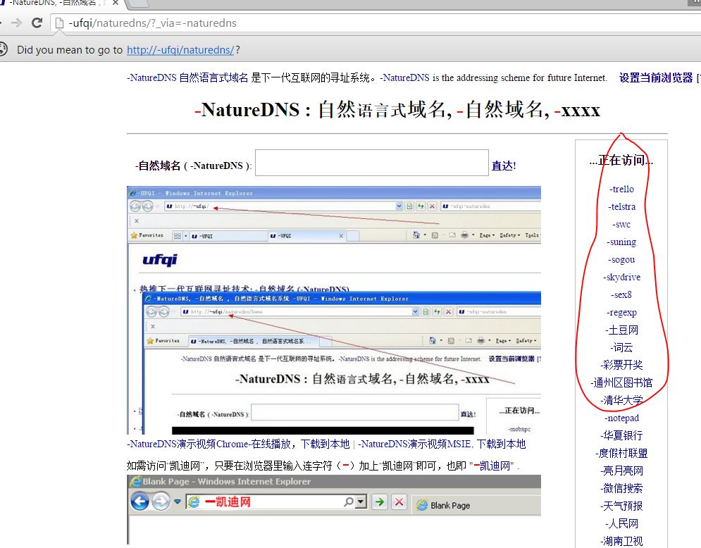 via-naturedns-in-homepage