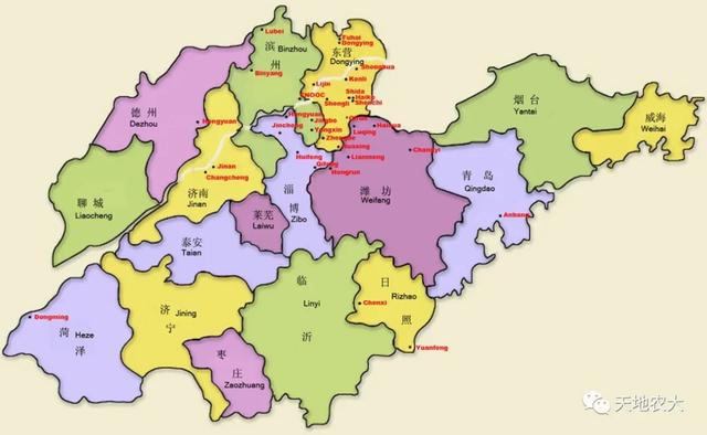 哭泣的山东省村庄：一个中国农大研究生的回乡日记