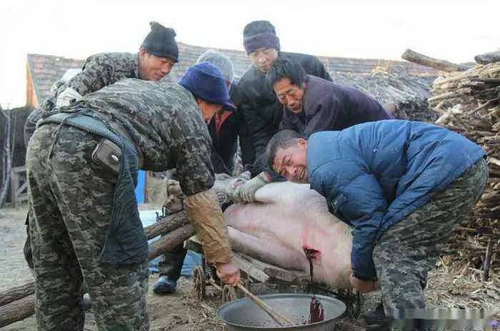 小时候的中国北方乡村生活-2：第二篇：过年