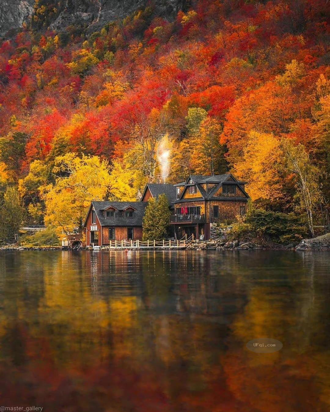 金色的秋天丛林尽染风景如画-6:远山与银杏-2