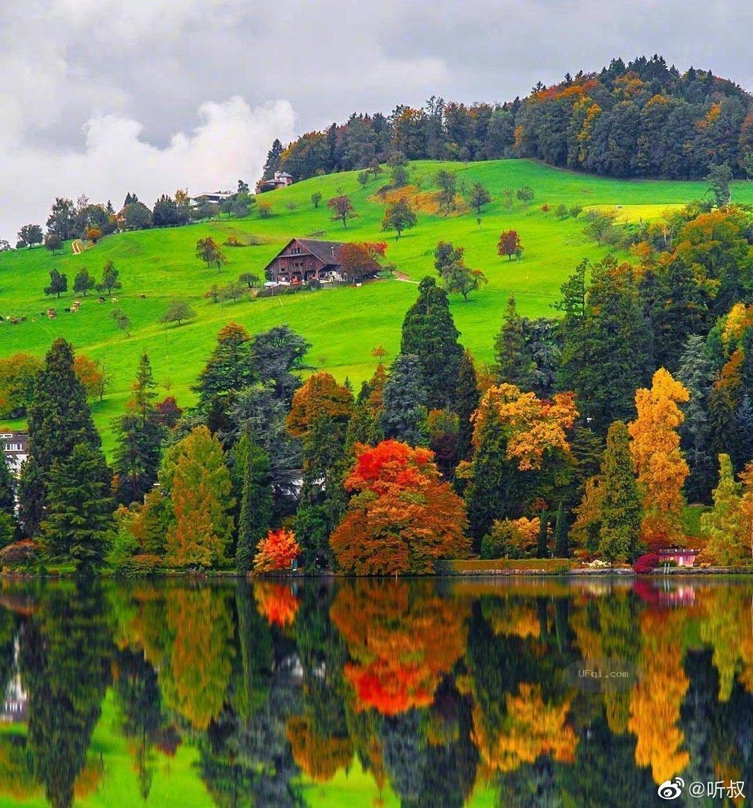 金色的秋天丛林尽染风景如画-9:蜿蜒起伏的林荫大道-2