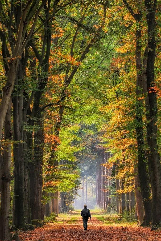 认知科学解释粗心大意背后的原因