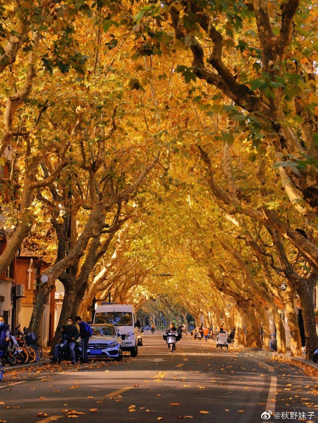 大舅的小富即安的中国生存智慧