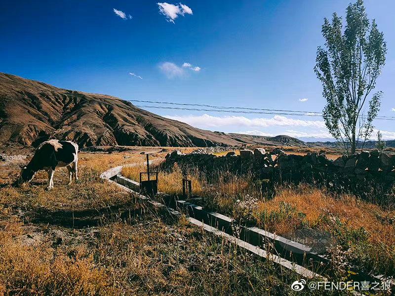 中国禁止毒品新立法: 吸毒人员记录封存