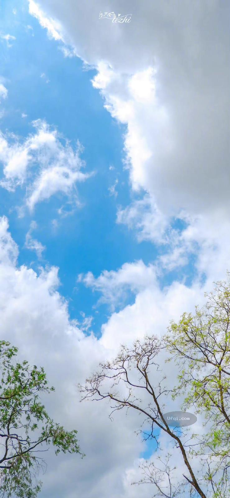 风景如画蓝天白云景色迷人-3:团簇的云朵