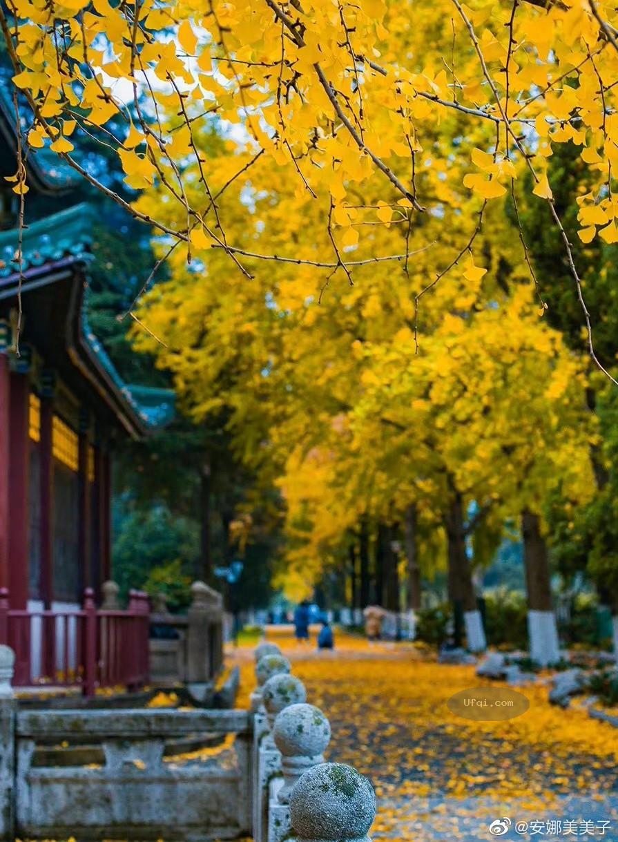 为什么美国从未发生过军事政变?