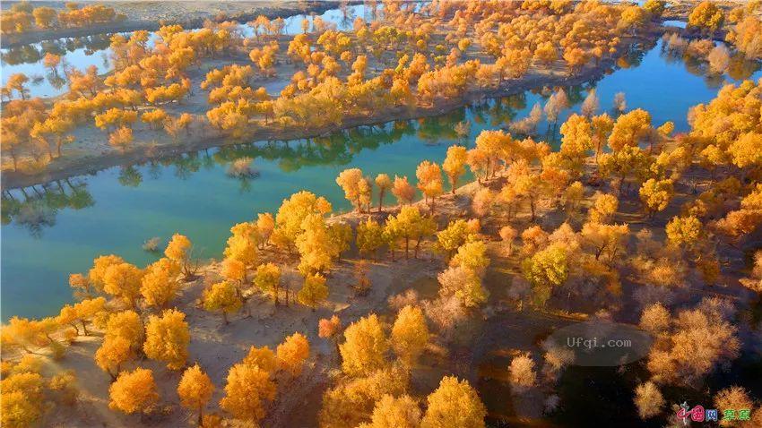 金色的秋天丛林尽染风景如画-31：欧洲城堡的秋色-2