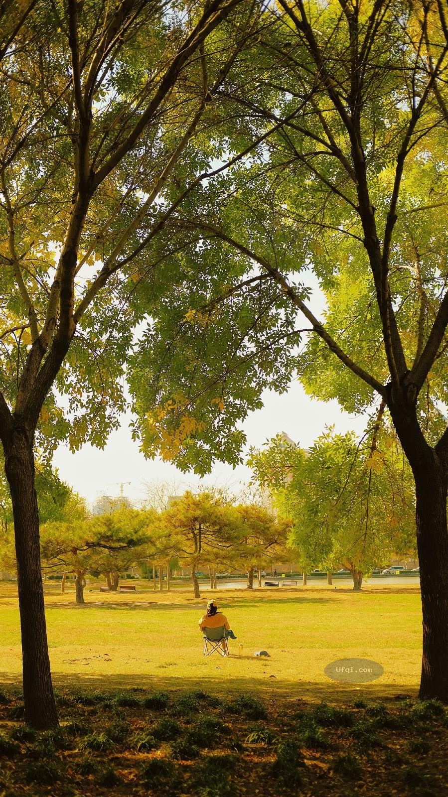 金色的秋天丛林尽染风景如画-40：深秋橙红