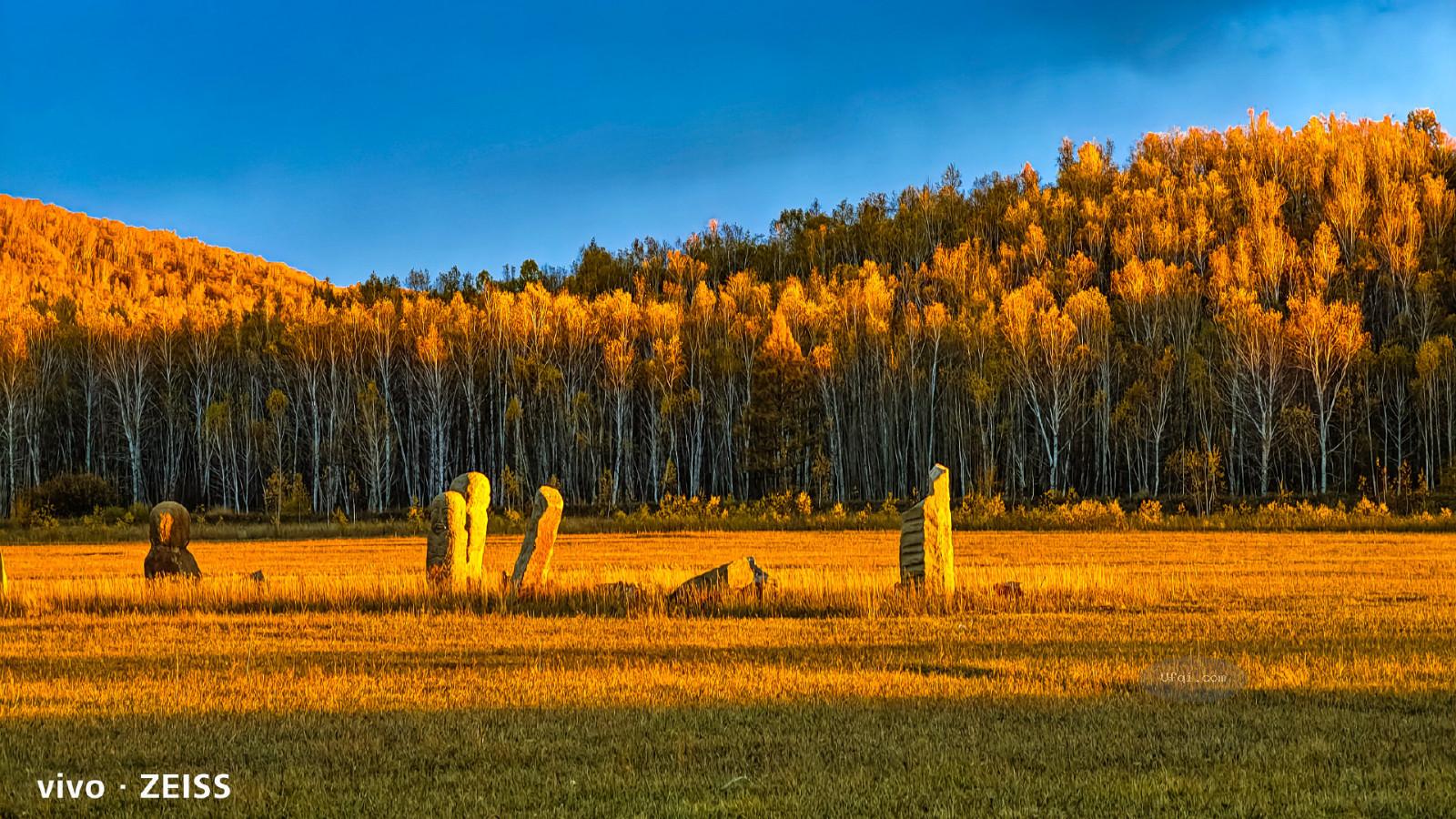 金色的秋天丛林尽染风景如画-44:深秋落红不是无情物-2
