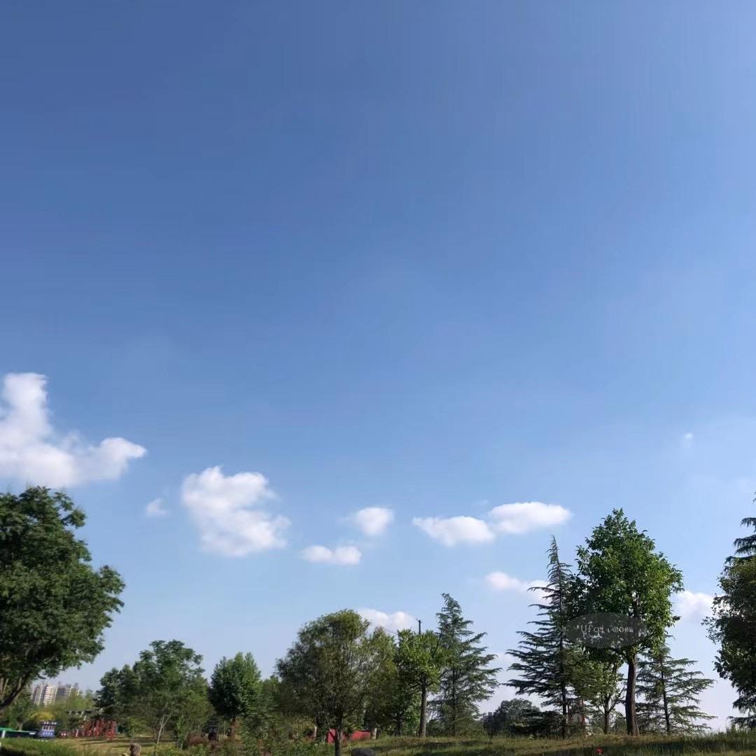 认知科学解释粗心大意背后的原因