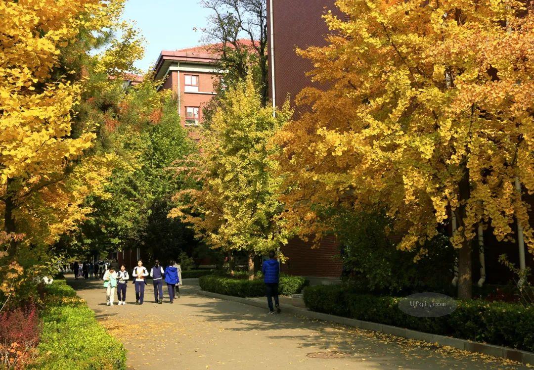 让价值系统成为学校的基础设施-5:给自己念一套紧箍咒