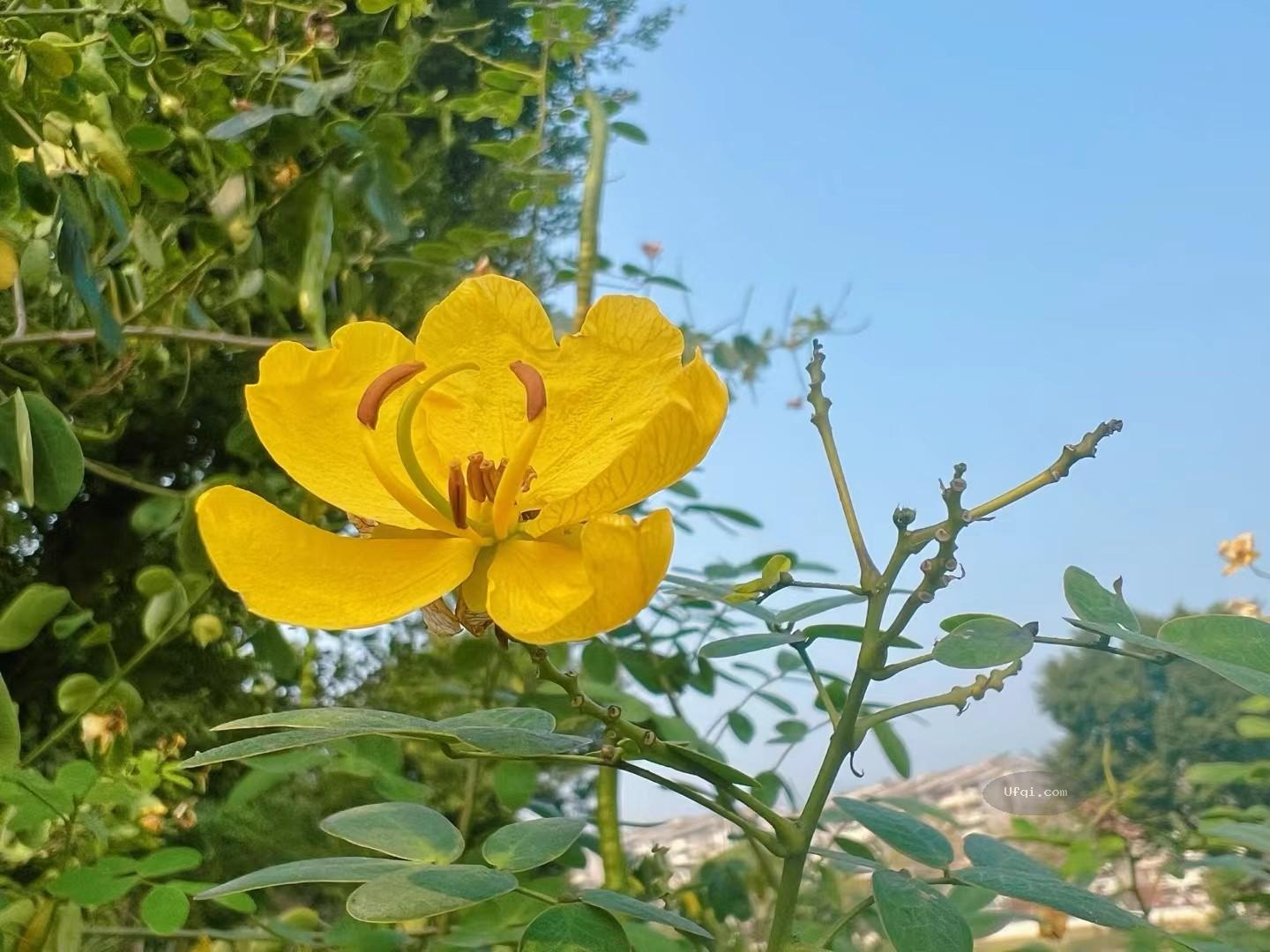 朋友圈的风景:美妙时光美景风光:山河湖水人文城市-24