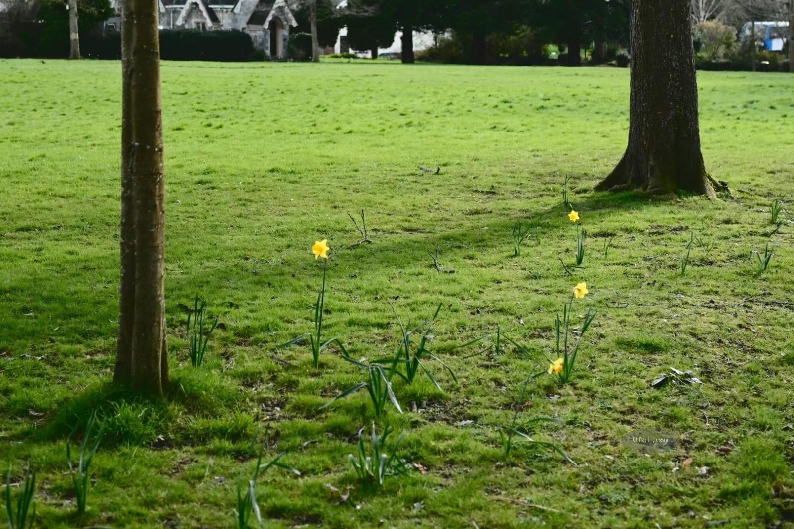 认知科学解释粗心大意背后的原因