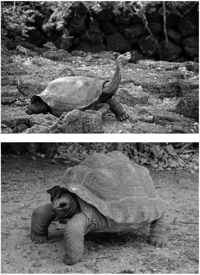 津巴多普通心理学 Psychology: Core Concepts-6: 第二章 生物心理学,神经科学与人类天性-3