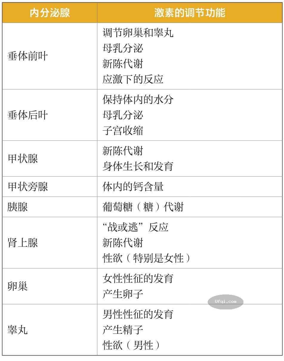 津巴多普通心理学 Psychology: Core Concepts-6: 第二章 生物心理学,神经科学与人类天性-12: 内分泌系统