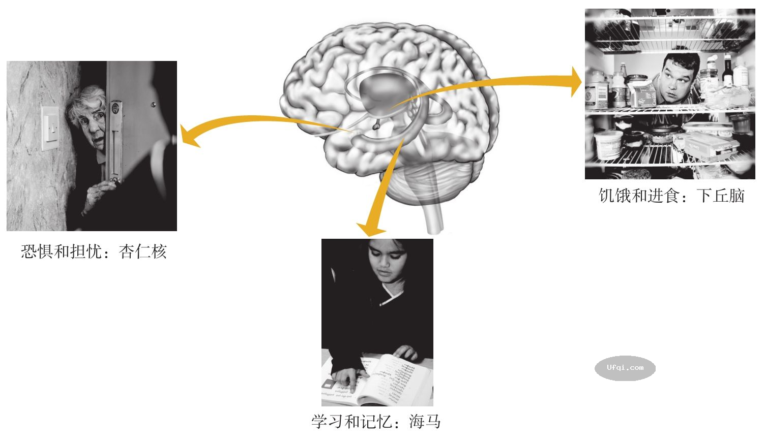 natural-selection.png natural-selection.png