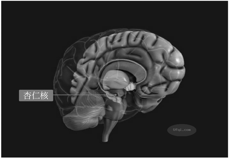 natural-selection.png natural-selection.png