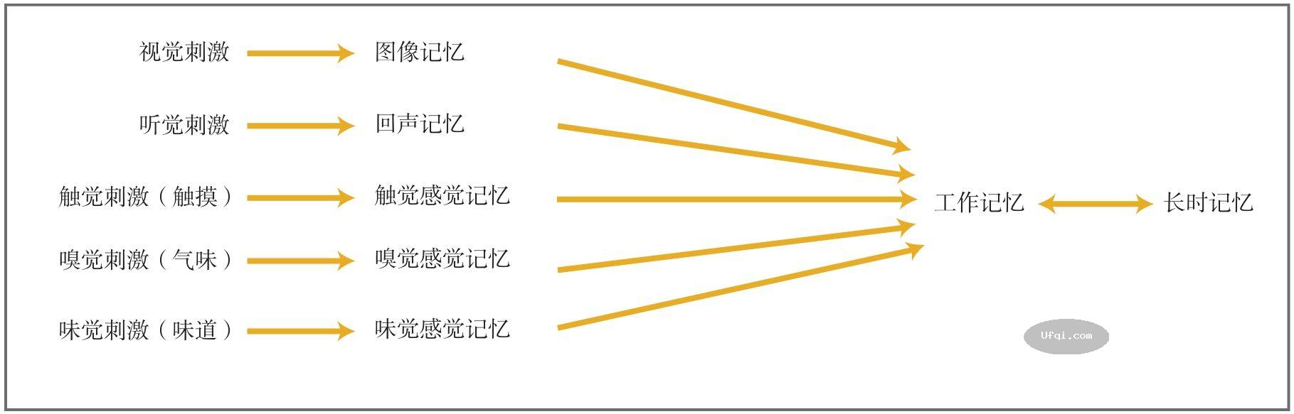 津巴多普通心理学 Psychology: Core Concepts-9: 第五章 记忆-6