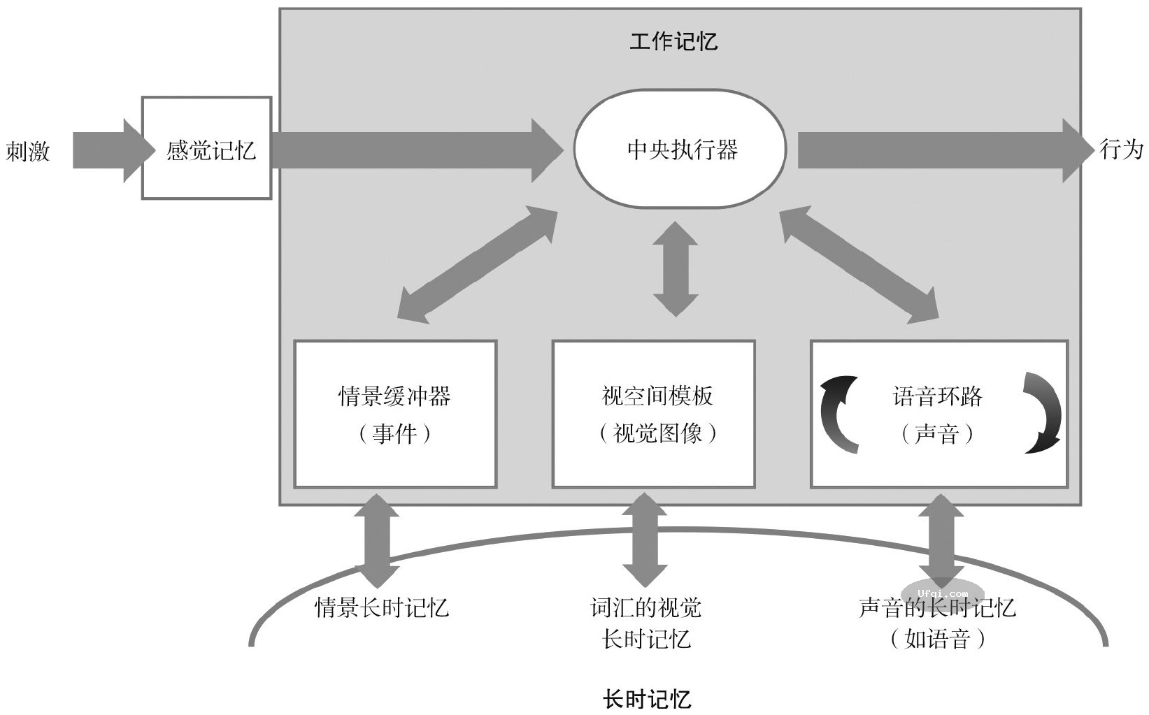 津巴多普通心理学 Psychology: Core Concepts-9: 第五章 记忆-8