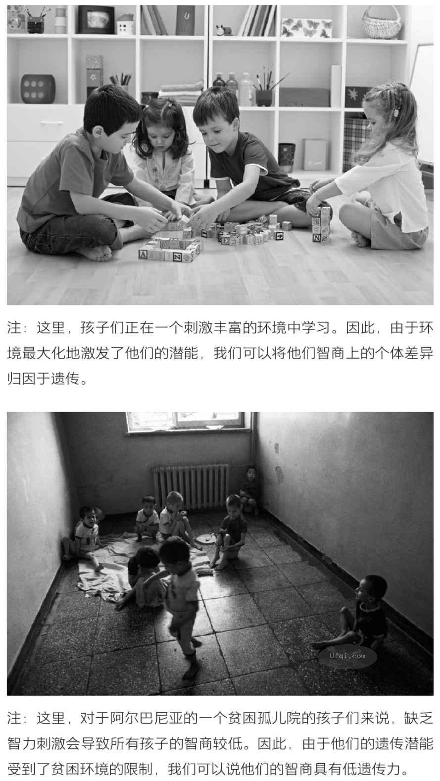 津巴多普通心理学 Psychology: Core Concepts-10: 第六章 思维与智力-21