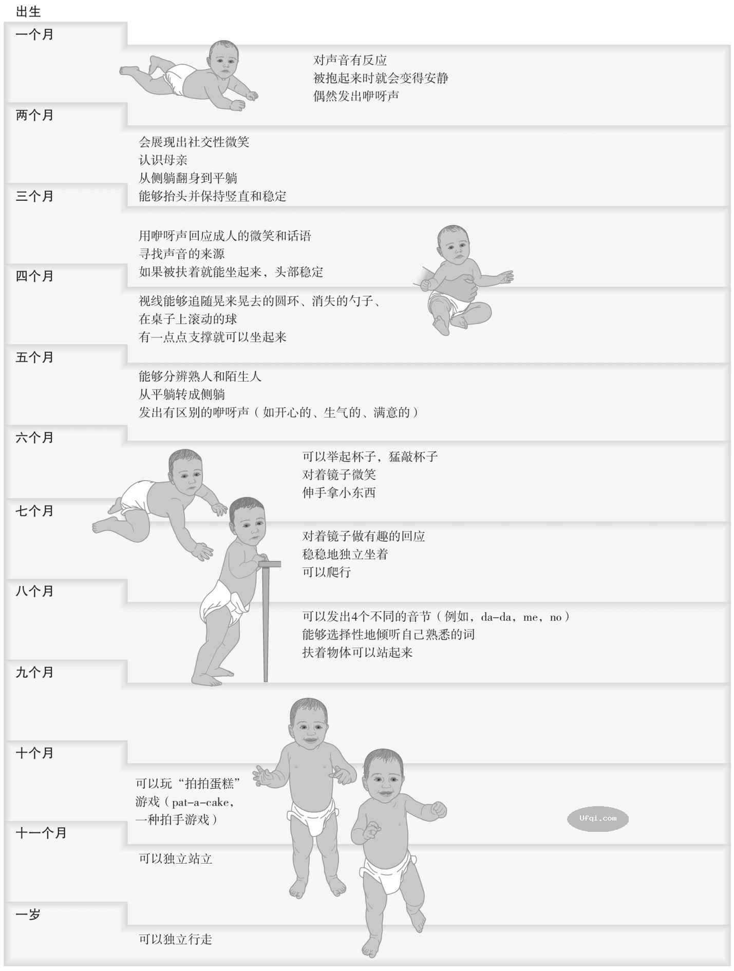 津巴多普通心理学 Psychology: Core Concepts-11: 第七章 毕生发展-6