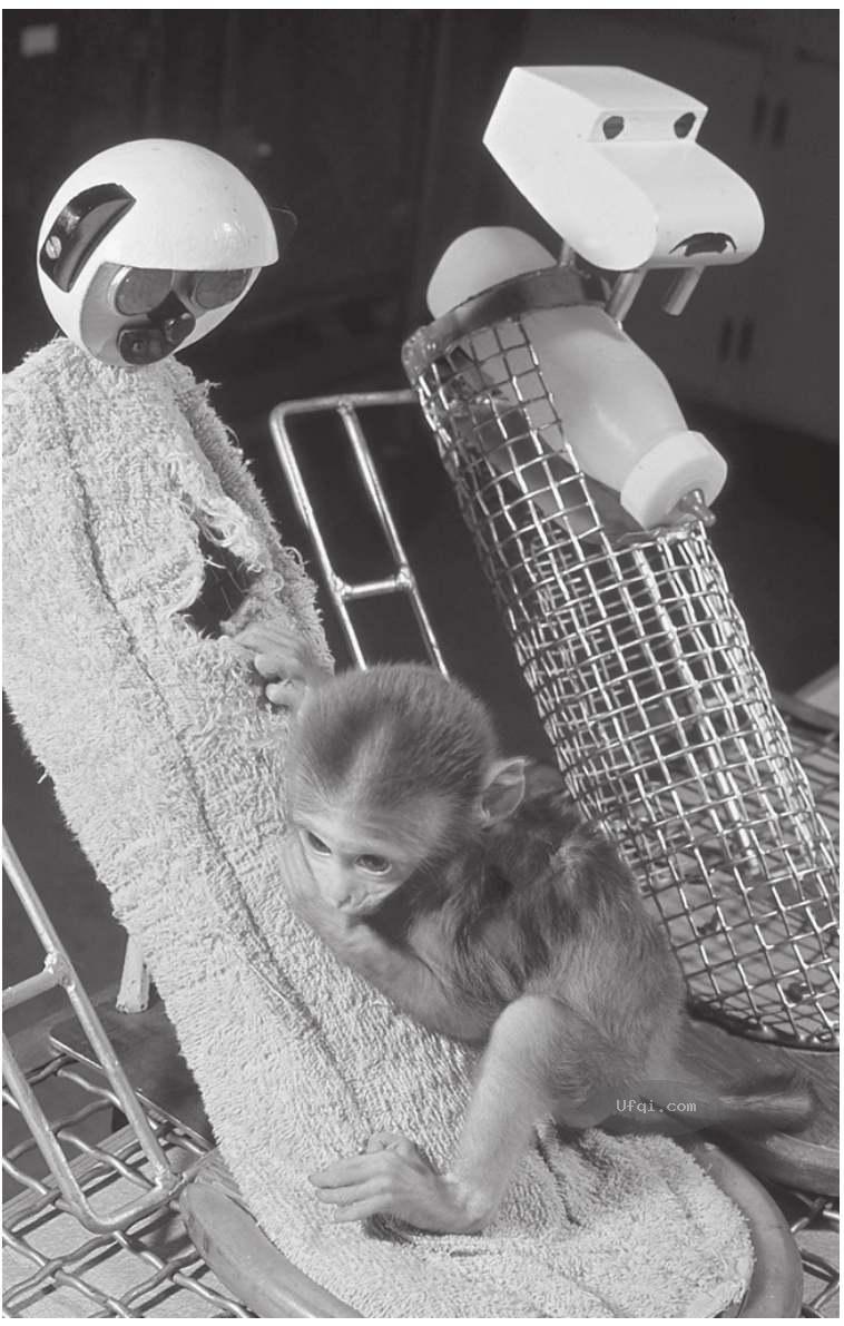 津巴多普通心理学 Psychology: Core Concepts-11: 第七章 毕生发展-7