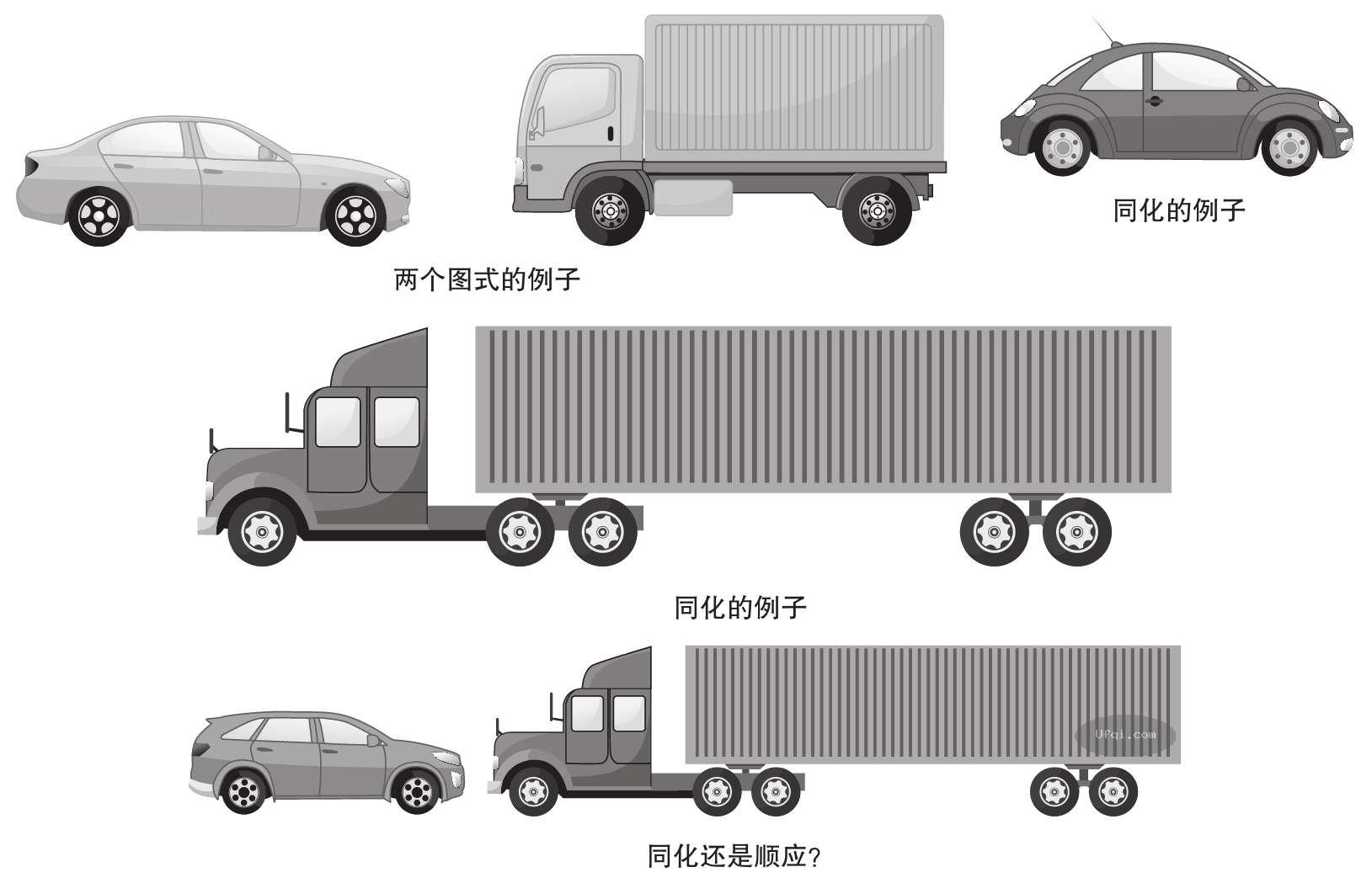 津巴多普通心理学 Psychology: Core Concepts-11: 第七章 毕生发展-13