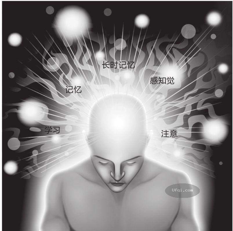 津巴多普通心理学 Psychology: Core Concepts -3: 第八章 意识状态-2