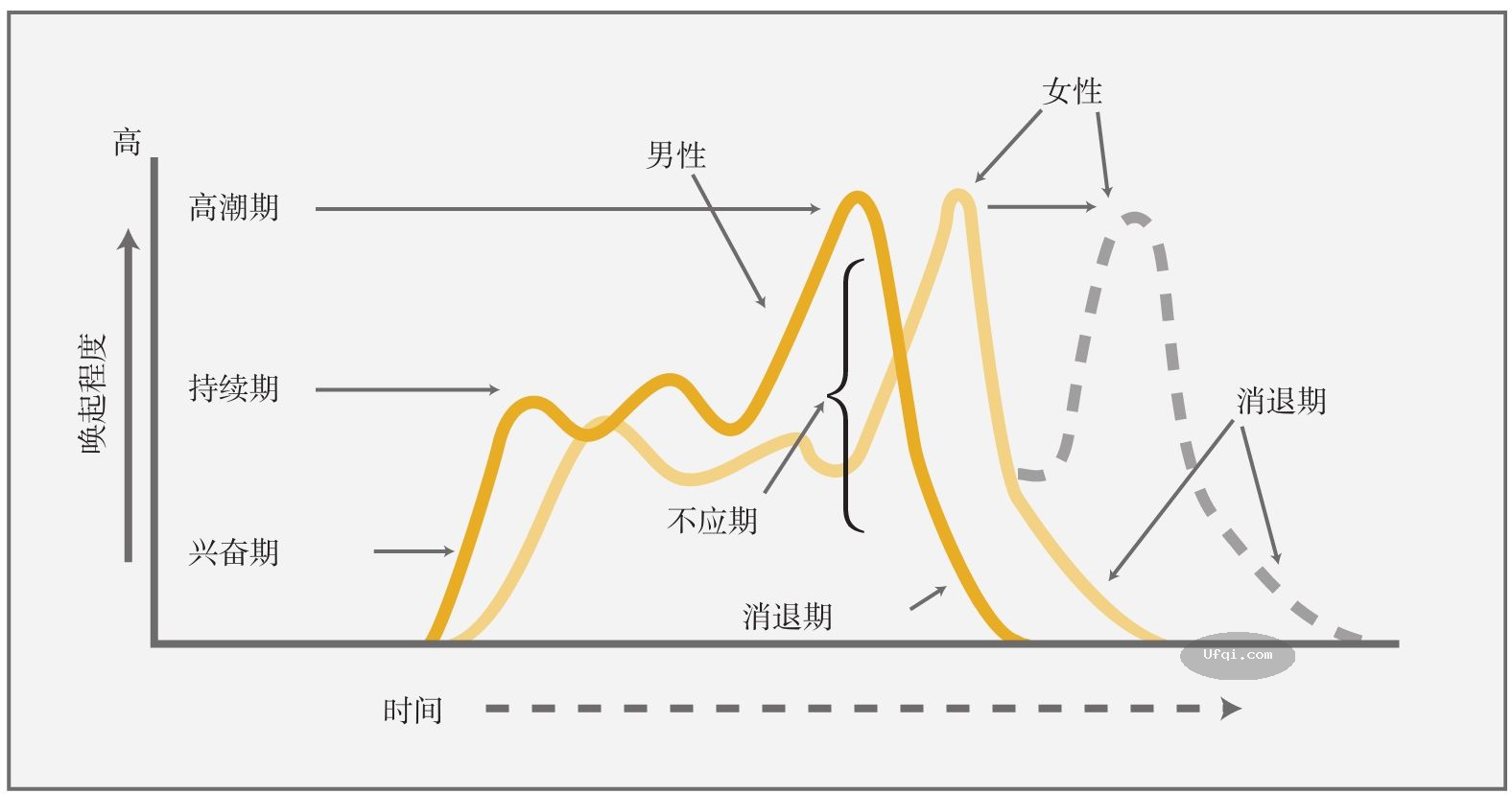 津巴多普通心理学 Psychology: Core Concepts 4: 第九章: 动机与情绪-10: 性欲 性冲动-2