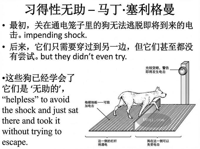 未来数十年个人最重要的技能就是能动性