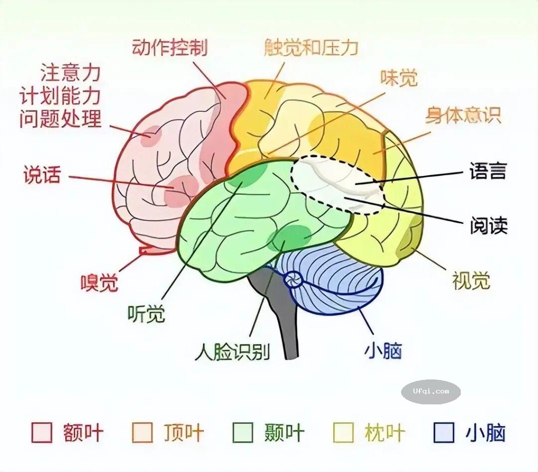 微观粒子没有意识 为何堆积在一起就能形成有意识的生命?-6